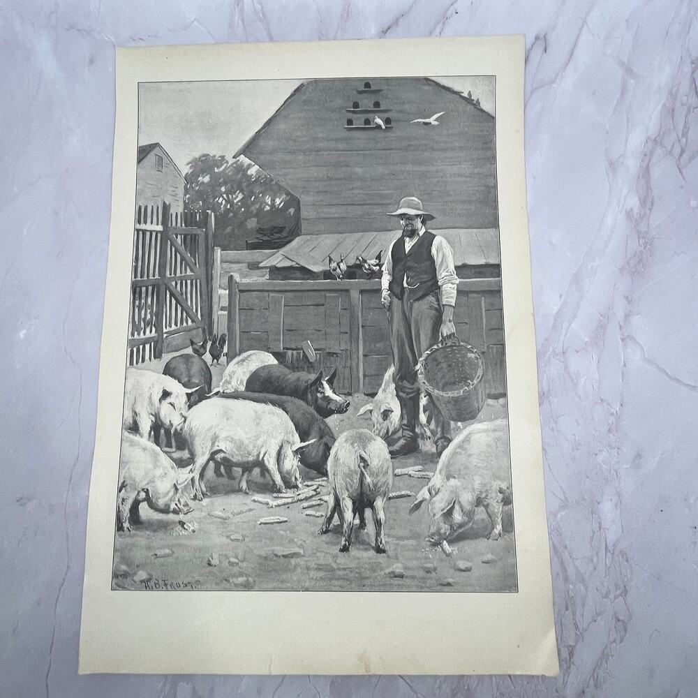 Pigs - Farmer Feeding Pigs - Original 1904 A.B. Frost Art Print V14-3 - Picture 2 of 2